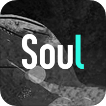 soul无限匹配版手机软件app
