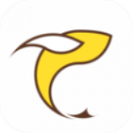 飞鱼浏览器最新版本手机软件app