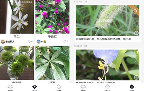 《識花君》是一款小程序app,在這裡用戶能通過拍照識別出花草的種類