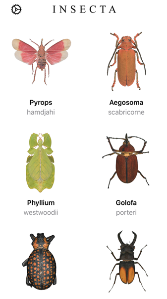 Insecta:app是什么 Insecta:app怎么样