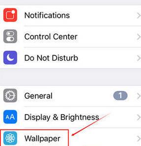 苹果iPhone SE 2设置壁纸的方法