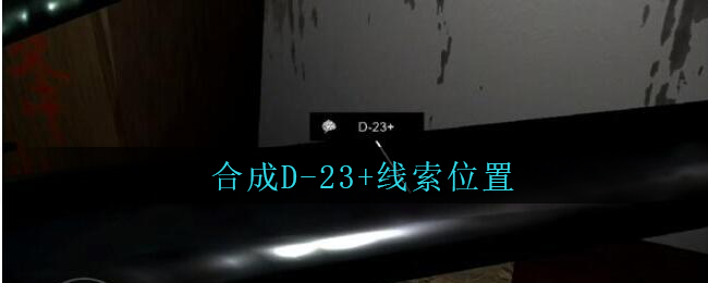 《孙美琪疑案：王勇》合成D-23+位置分享