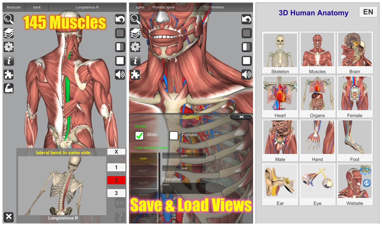 2021-12-31 iOS限免应用app推荐（3D Anatomy_人体解剖学）