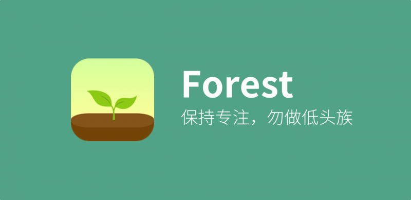 forest怎么一个人种树 forest个人种树教程分享