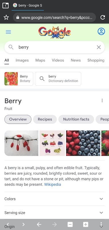 berry浏览器历史版本