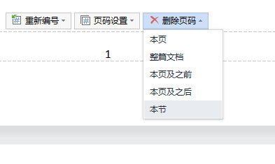 《WPS》任意页设置页码详细操作步骤一览