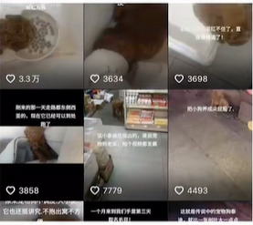 抖音欢欢卤味店是什么意思