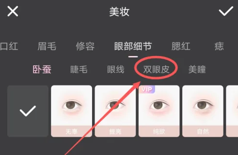 《Wink》双眼皮特效具体操作教程