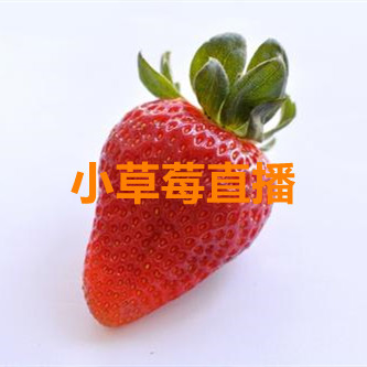 小草莓直播app手机软件app