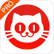 猫眼专业版手机软件app