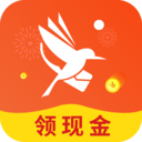 青鸟快讯最新版手机软件app
