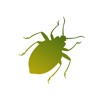 Insecta:手机软件app