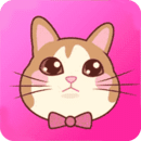 猫语翻译器免费版手机软件app