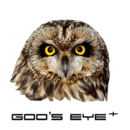 Gods Eye +手机软件app