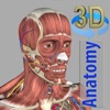 3D Anatomy手机软件app