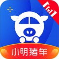 小明猪车手机软件app