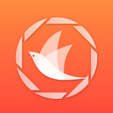 飞鸟浏览器手机软件app