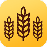 金麦浏览器手机软件app