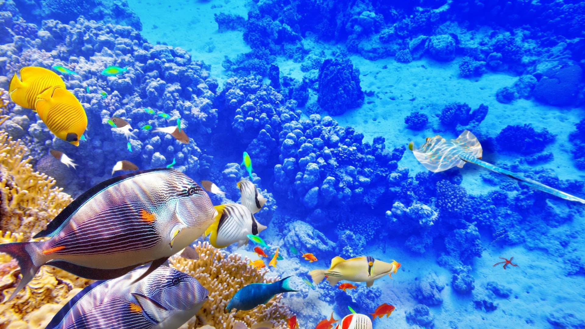 3D海底世界动态壁纸下载截图