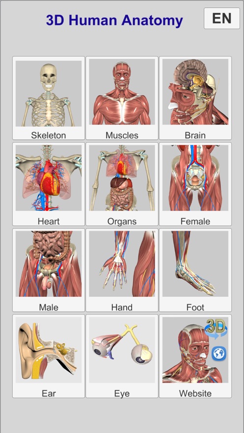 3D Anatomy截图