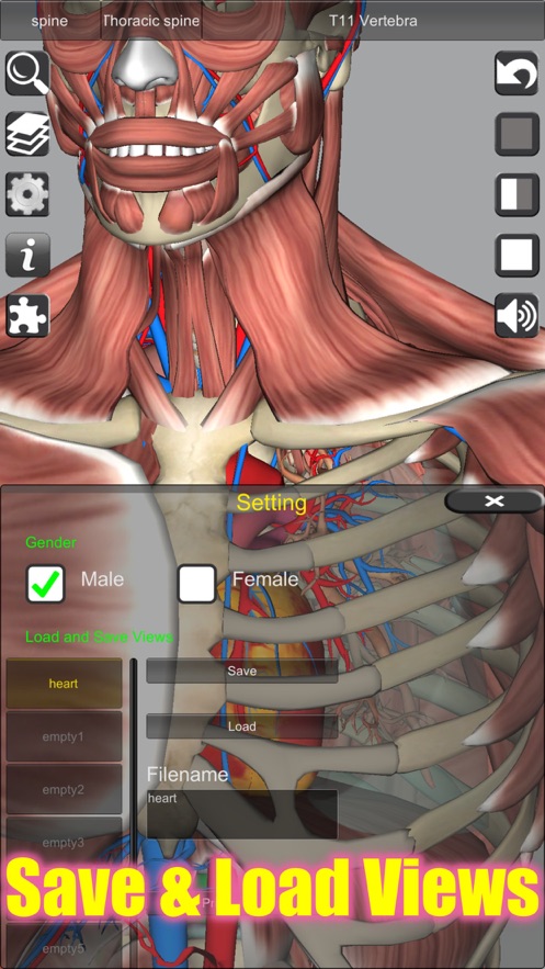 3D Anatomy截图