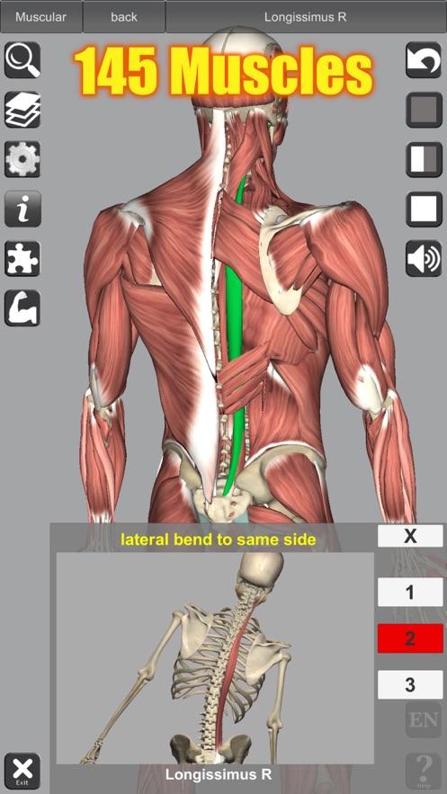 3D Anatomy苹果版免费截图