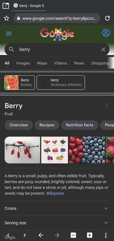 berry浏览器截图
