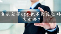 重庆社保app收不到验证码怎么办？