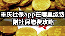 重庆社保app在哪里缴费？附社保缴费攻略