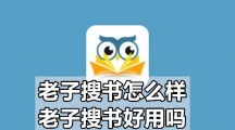 老子搜书怎么样 老子搜书好用吗 