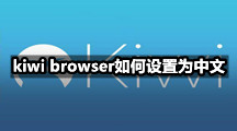 kiwi browser如何设置为中文，设置中文步骤有哪些？
