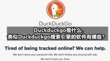Duckduckgo是什么，类似Duckduckgo搜索引擎的软件有哪些？