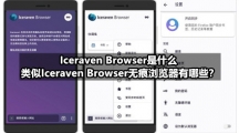 Iceraven Browser是什么，类似Iceraven Browser无痕浏览器有哪些？