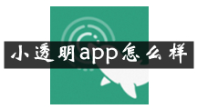 小透明是什么 小透明app怎么样