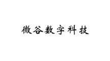 深圳微谷数字科技有限公司