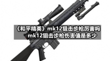 和平精英《和平精英》mk12狙击步枪厉害吗，mk12狙击步枪伤害值是多少