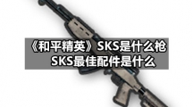 和平精英《和平精英》SKS是什么枪，SKS最佳配件是什么