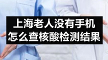 支付宝app专区上海老人没有手机怎么查核酸检测结果
