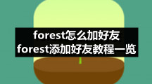 forest怎么加好友 forest添加好友教程一览