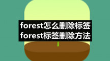 forest怎么删除标签 forest标签删除方法