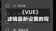 《VUE》滤镜最新设置教程