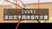 《VUE》添加文字具体操作步骤