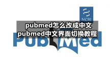 pubmed怎么改成中文 pubmed中文界面切换教程