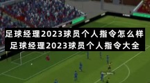 足球经理2023球员个人指令怎么样 足球经理2023球员个人指令大全