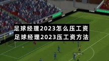 足球经理2023怎么压工资 足球经理2023压工资方法