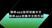 烧杯app如何切换中文 烧杯app切换中文的方法
