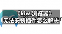 《kiwi浏览器》无法安装插件怎么解决