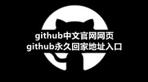 github中文官网网页 github永久回家地址入口