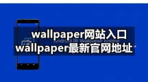 wallpaper网站入口 wallpaper最新官网地址