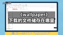 《wallpaper》下载的文件储存在哪里